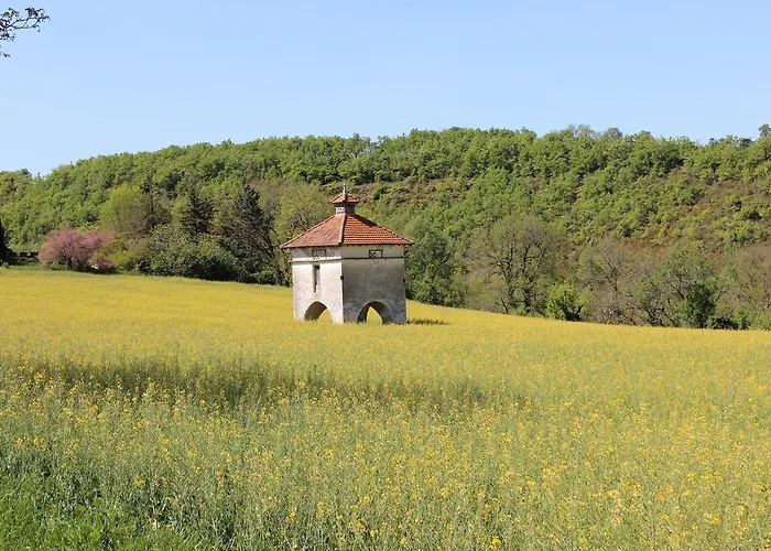 Le Cayrols Holiday home *